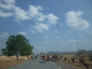 NICARAGUA strada di San Francisco Libre